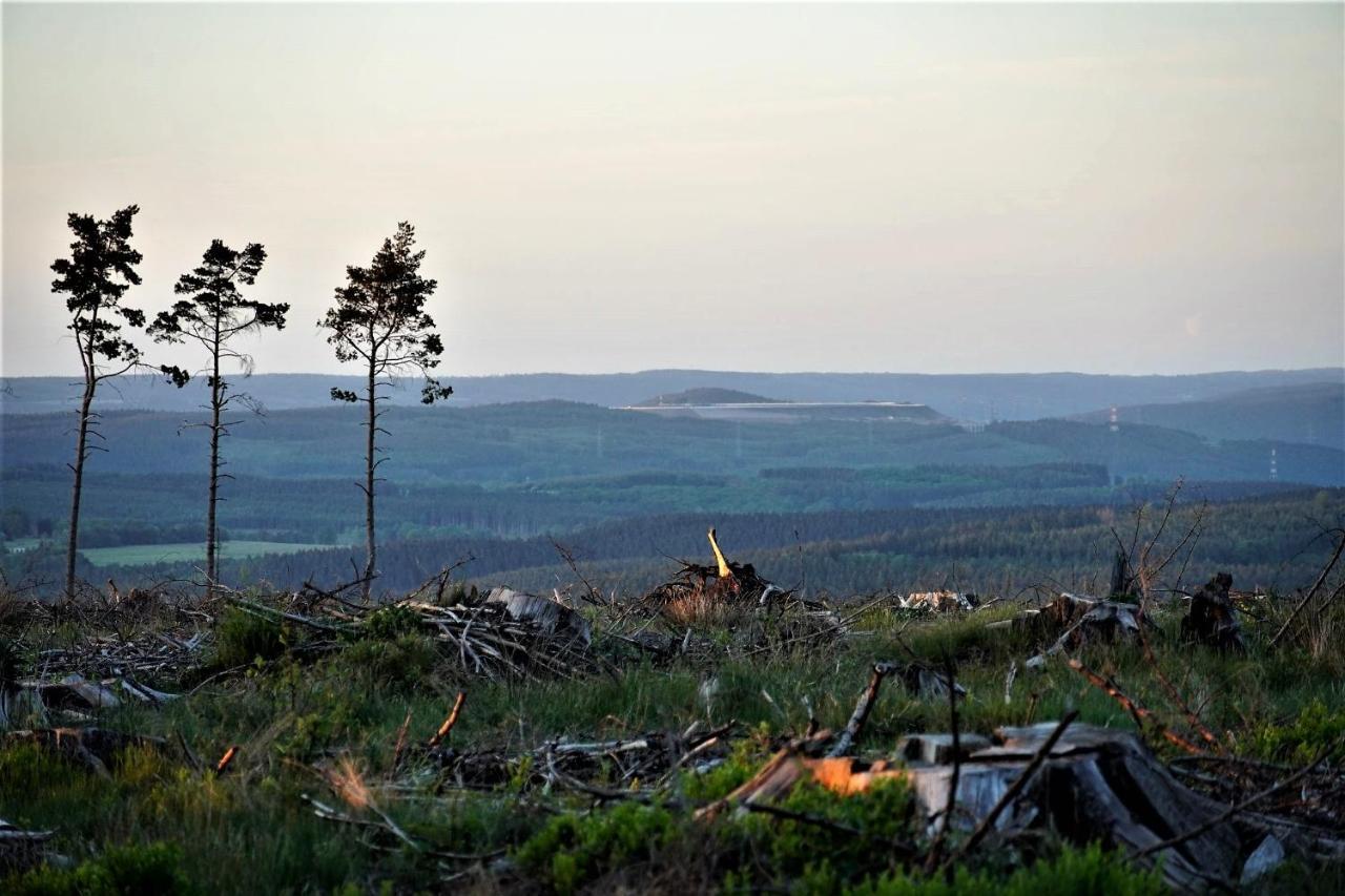 "Petite Perle En Haute Ardenne" Avec Vue Sur La Vallee, Cabine Infra-Rouge Et Bain Balneo Lierneux المظهر الخارجي الصورة